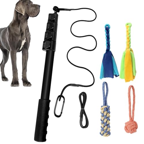 Flirtstange für Hunde – Haustier-Trainingsstange, einziehbarer Hundestab | Flirt Stick Hundestangen-Spielzeug, Teleskop-Hundestange, Hunde-Agility-Ausrüstung für kleine, mittelgroße und große Hunde von Generic