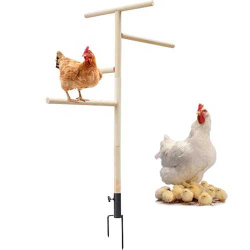 Freistehende Sitzstange für Huhn – Geflügelhalter, Outdoor-Spielzeug – Vogel-Trainingsstange mit Erdungsstecker für Nymphensittiche, Papageien, Truthähne, Hühner, Turteltauben von Generic