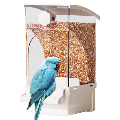 Futter für Papageien, Sittichfutter, transparenter Lebensmittelbehälter | Zubehör in Käfig, Haustierzubehör für Cockatiel Parrot Cockatoo Canary Parakeet Conure Futter für Papageien, Sittichfutter, transparenter Lebensmittelbehälter | Zubehör in Käfig, Haustierzubehör für Cockatiel Parrot Cockatoo Canary Parakeet Conure von Generic