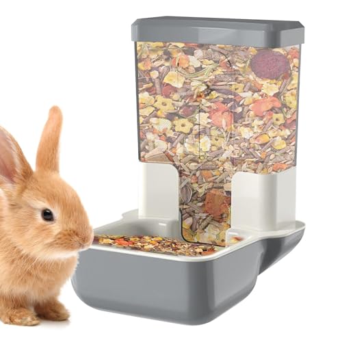 Futterautomat - Automatische Futter- Und Wasserspender Für Haustiere - Stabiles Design & Großes Fassungsvermögen Für Frettchen, Tauben Und Chinchillas Futterautomat - Automatische Futter- Und Wasserspender Für Haustiere - Stabiles Design & Großes Fassungsvermögen Für Frettchen, Tauben Und Chinchillas von Generic