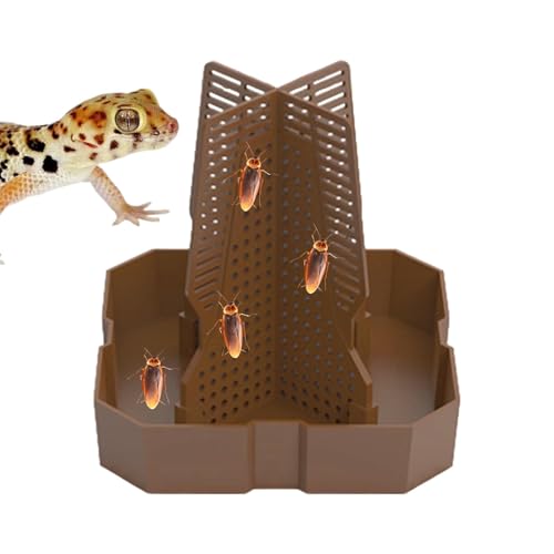 Futternapf Für Eidechsen – Futternapf Für Leopardgecko | Gegenseitig Einsetzbarer Beutenapf, Fressnapf Für Eidechsengeckos, Futternapf Für Mehlwürmer Für Leoparden-Bartagamen Und Chamäleons von Generic