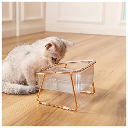 Futternapf Katze Doppelkatze-Schüssel transparente Hundeschüssel mit vertikaler Haustierwasserschale Hundekatze-Lebensmittel-Haustier-Fütterungsschale Geneigter futternapf Katze(Single) von Generic