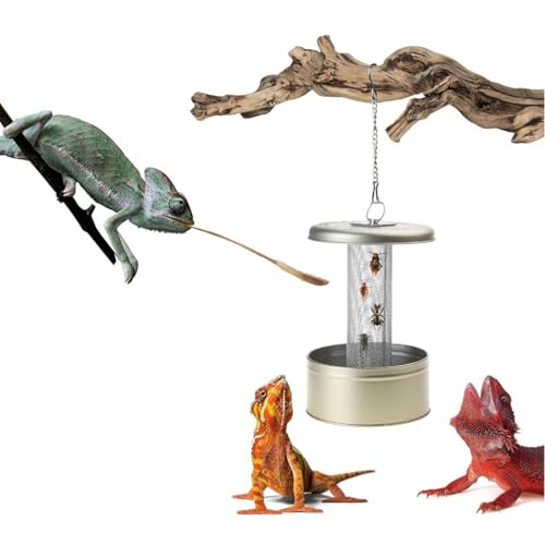 Futternapf für Reptilien - Gecko-Futterstation, Anti-Flucht-Wasserschale Chamäleonschale, Chamäleon-Schüssel, Terrarienschalen für Drachen, Leoparden, Geckos, Eidechsen, Spinnen, Skorpione von Generic