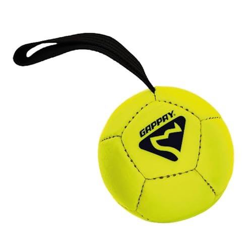 Gappay Professioneller Trainingsball für Hunde aus Kunstleder mit Griff, Größe 100 mm, Gewicht ca. 100 g, Handgenäht, Trainingsfunktion für Hunde von Generic