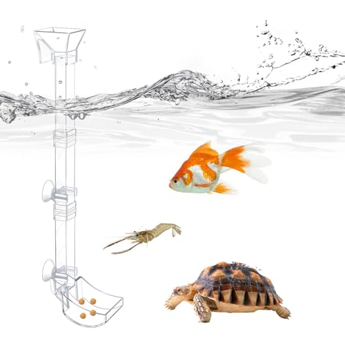 Garnelen-Futterschalen-Set für Aquarienfische – transparentes Fisch-Futterrohr und Schale mit Reinigungsbürste und Messlöffel zum Füttern von Garnelen und zur Verhinderung von Futterverstreuung Futter von Generic