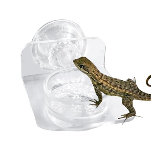 Gecko Feeder - Reptilienfuttergericht, No - Worm Bowl | Einfache Installation Reptile -Fütterungsstation, Stabiler Saugnapfbecher transparent von Generic