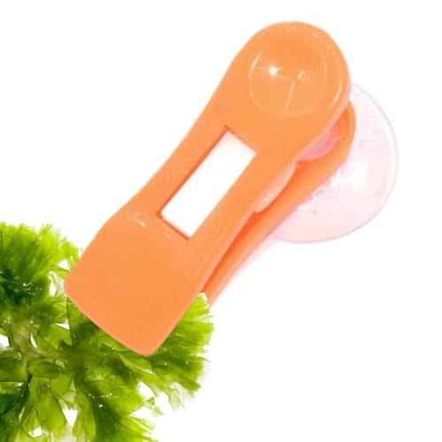 Gemüsefütterungsclip – Aquarium-Saugnapf-Clip | Algen-Clip-Halter | Veggie-Feed-Clip, Pflanzen-Saugnapf-Clip mit Saugnapf von Generic