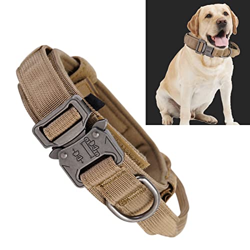 Generic Hundehalsband, Haustierhund Nylon M Außengröße für Hunde Generic Hundehalsband, Haustierhund Nylon M Außengröße für Hunde von Generic