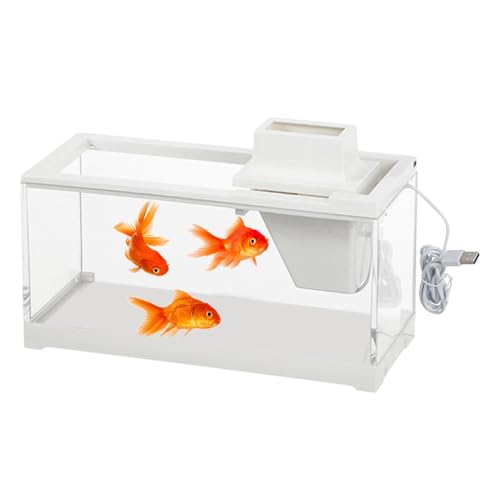 Generisches Tischaquarium – Tischaquarium, Niederspannung, Transparentes Schreibtischaquarium, Leise | Kleines Aquarium, Dekoration, Kleines Aquarium, Starter-Set, Kleines Aquarium Mit Ständer, Schrei von Generic