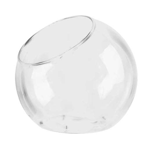 Glas-Pflanzenterrarium – Glas-Pflanzen-Terrarium, Pflanzen-Terrarium | -Display-Terrarium-Glas, Runder Glas-Terrarium-Blumentopf, Glas-Luft-Pflanzenhalter Für Wohnzimmer, Esstisch, Schlafzimmer von Generic