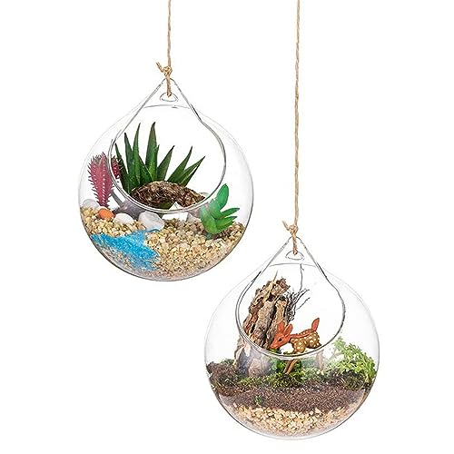 Glas Terrarium Globes 2pcs transparante runde große Öffnung hängende Terrariumglasglas hängender Teelichthalter mit Lanyard von Generic