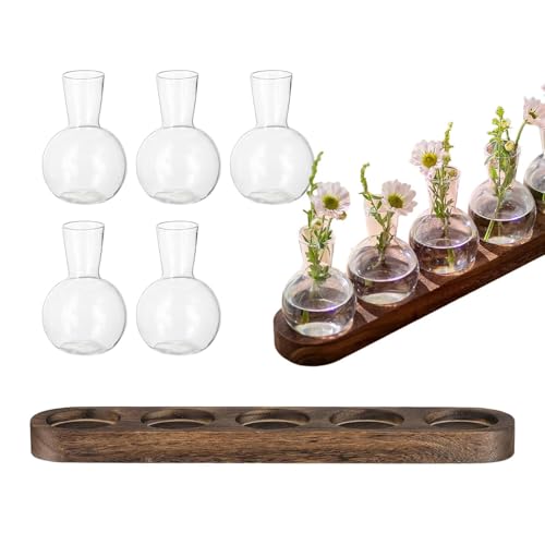 Glasterrarien Für Pflanzen, Wasservermehrungsstation | Anzuchtvase Aus Glas Glasvase, Hydrokultur-Pflanze, Holzrahmen, Coffee-Shop-Vase, Terrarium-Pflanzen, Bonsai-Dekoration von Generic