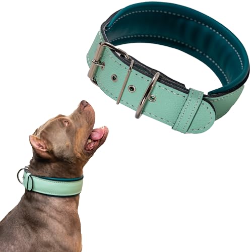 Großes Hundehalsband | Hundehalsband aus Leder | Hundehalsband aus Leder für große Hunde | Große Hundehalsbänder | Halsbänder für Hunde | Pitbull-Halsband | Rottweiler-Halsband | Hundehalsband | XL von Generic
