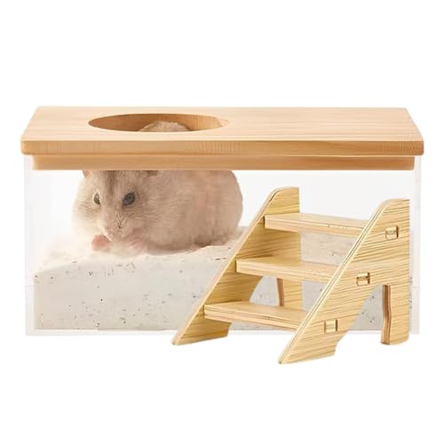 Hamster-Bade-Sandbehälter, Hamster-Staub-Badebox, Hamster-Sand-Badebox, großes Fassungsvermögen, Haustier-Hamster-Badebox | Fest verbundenes und stabiles Kleintier-WC, Rennmaus-Badezimmer mit Leiter f von Generic