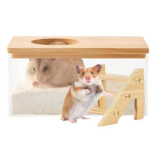 Hamster-Badesandbehälter, Hamster-Staub-Badebox, Badebox für Hamster mit großem Fassungsvermögen, Kleintiertoilette, Rennmaus-Badezimmer mit Leiter für Schlafzimmer, Wohnzimmer von Generic