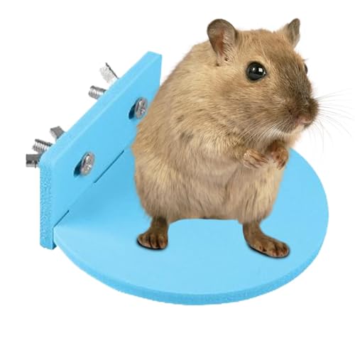 Hamster Spielständer | Rutschfestes Brett für Hamster – platzsparende Hamsterkäfig-Dekoration, Haustier-Aktivitätsstruktur für Chinchilla, Eichhörnchen, Rennmaus, Suger Glider, Hamster von Generic