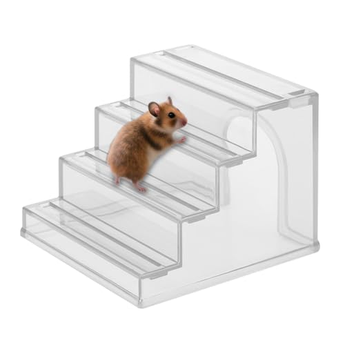 Hamsterhaus | Leiter für Tierkäfige | Haus 2 in 1 rutschfest zum Klettern Höhle Spiel Übung Hamsterhaus | Leiter für Tierkäfige | Haus 2 in 1 rutschfest zum Klettern Höhle Spiel Übung von Generic