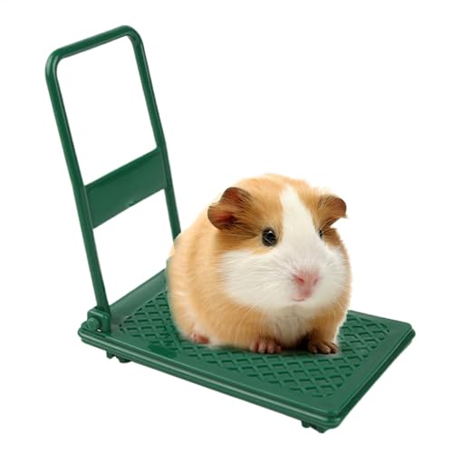 Hamsterspielzeug für Käfig, Zwerghamsterspielzeug,Kleintierspielzeug Hamsterspielzeug - Foto-Requisiten, Hamster-Anreicherungsspielzeug, Wagen, Chinchilla-Bett, Haustierspielzeug, Hamsterkäfig-Zubehör von Generic