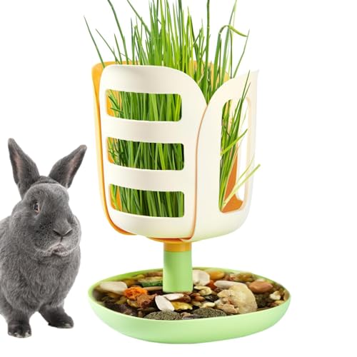 Hay Feeder, Kaninchen Katzentoilette mit Hay Feeder,PP Blumenform Bunny Hay Rack mit Bodenschalen -Design | Kleinhäuser & Lebensräume Gras, Familie, Freunde von Generic