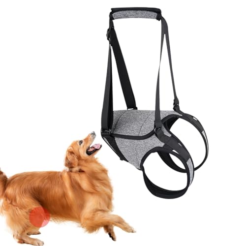 Hebehilfe für Hunde - Unterstützung für verletzte Hunde | Rehabilitations-Krockery, Hundegeschirr mit einem Griff, Mobilitätshilfe bei Arthrose, Stützgürtel für Hunde mehr Hebehilfe für Hunde - Unterstützung für verletzte Hunde | Rehabilitations-Krockery, Hundegeschirr mit einem Griff, Mobilitätshilfe bei Arthrose, Stützgürtel für Hunde mehr von Generic