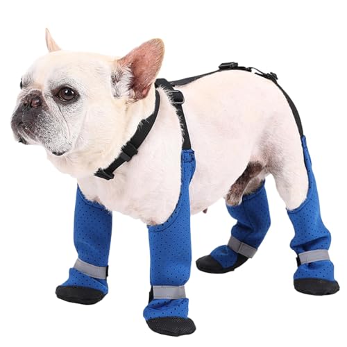 Hunde-Hosenträgerstiefel – verstellbare, wasserdichte Hundestiefel | rutschfeste Pfoten-Leggings, Hunde-Schneehose für Outdoor-Abenteuer, Spaziergänge und Laufen von Generic