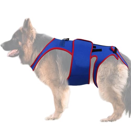 Hunde Rehabilitation Kleidung - Hunde Hüftklammer, Hunde zurück Klammer | Chirurgische Recovery-Hemdkleidung, Angst beruhigende Weste, D-Ring und reflektierende Streifen Back Protector unterstützt, hi von Generic