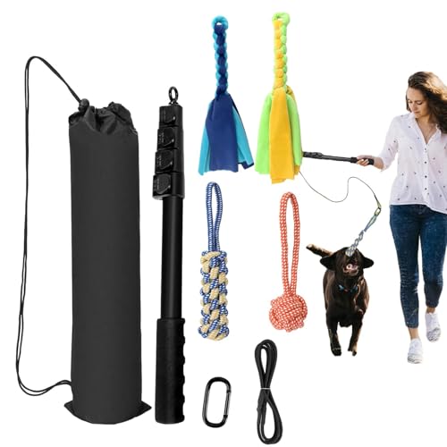 Hundeflirtstange | Interaktiver Hundespielzeug-Haustierstab, einziehbarer Flirtstab, Hunde-Agility-Ausrüstung, Hunde-Teaser-Zauberstab für das Training und Spielen von Generic