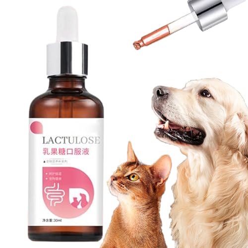 Hundegesundheitsbedarf | Nahrungsergänzung Für Katze 30ml,Sanfte Wellness Öltropfen Für Sichere Verdauung Absorption Pflege Von Haustieren Kätzchen Welpen Unterwegs Tägliche Pflege Hundegesundheitsbedarf | Nahrungsergänzung Für Katze 30ml,Sanfte Wellness Öltropfen Für Sichere Verdauung Absorption Pflege Von Haustieren Kätzchen Welpen Unterwegs Tägliche Pflege von Generic
