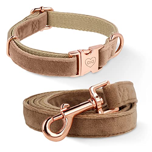 Hundehalsband und Leine, verstellbar, Samt, weich, graviert, Hunde Halsband für kleine Hunde (Small (S)) von Generic