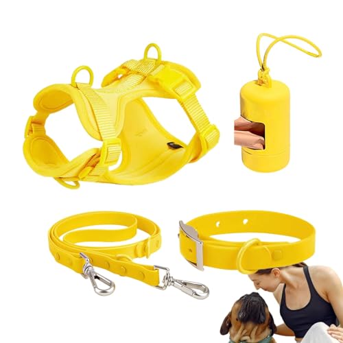 Hundeleinen-Set, Hundehalsband, Geschirr und Leine, Set für kleine Haustiere, kein Ziehen, verstellbare Hundeweste, Geschirre mit Kotbeutelhalter von Generic