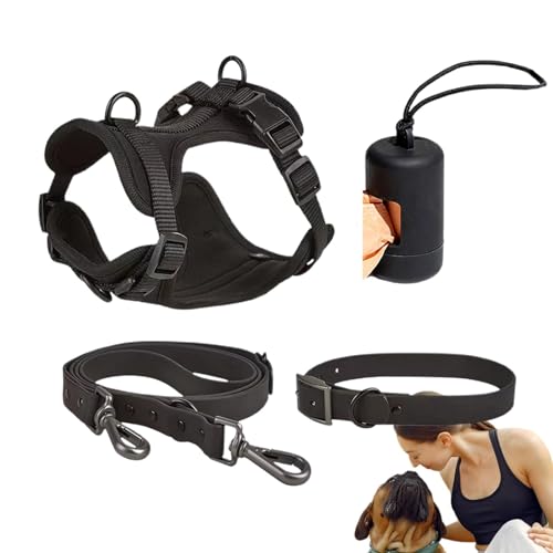 Hundeleinen Set - Hundegeschirr Set - Hundegeschirr mit Leine, Sicherheitshalsband, verstellbar mit Halter für Hundekotbeutel von Generic