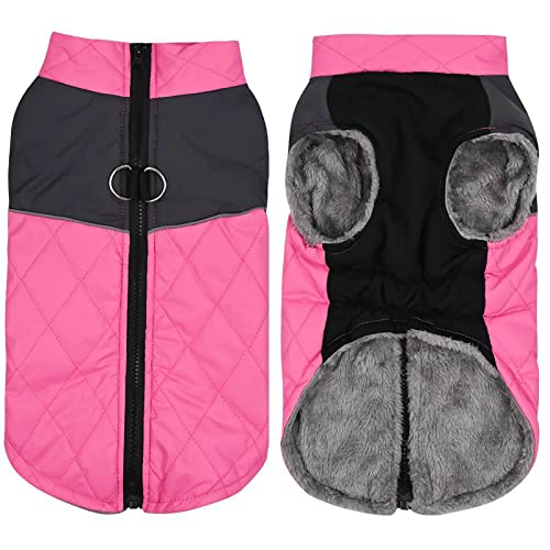 Hundemantel Mit Fleece Gefütterte Warm Hundejacke, Hundeweste Winter Warme Winddichte, Wasserdicht, Mit Reflektierenden Streifen, Hunde Jacke Kleidung für Kleine Mittel Große Hund Hundemantel Mit Fleece Gefütterte Warm Hundejacke, Hundeweste Winter Warme Winddichte, Wasserdicht, Mit Reflektierenden Streifen, Hunde Jacke Kleidung für Kleine Mittel Große Hund von Generic