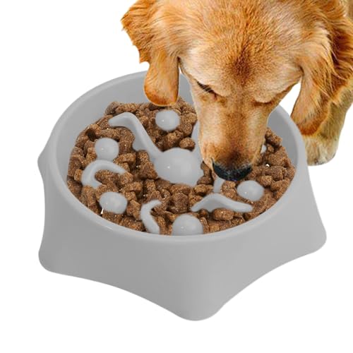 Hundeschüssel langsamer Feeder - Anti -Choking Interactive Dog Feeding Bowls | Anwendungsbereich, Nicht rutschfeste Hundepuzzle-Feeder-Schalen, Hunde-Lick-Behandlungsschale für alle Rassen Haustiere von Generic