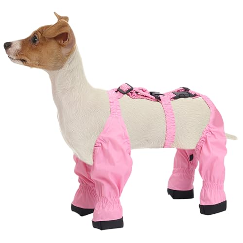 Hundesocken Pfotenschutz Hund Hundestiefel HosenträGer wasserdichte Weiche Und Komfortable Hundestiefel Leggings Verstellbares Hundebotenschutz Mit Hilfsgurt FüR Kleine MittelgroßE Hunde XL von Generic