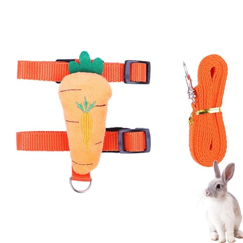 Hundetrainingsleinen – Hundewestenleine mit Cartoon-Motiv, Trainingsleinen-Set | Hunde- und Katzenwelpenleine, Outdoor-Hundebedarf, Hundebekleidungszubehör für Kaninchen von Generic