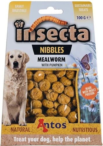 Insecta Nibbles Mehlwurm & Kürbis Insekten Snacks Hundesnacks Hunde Mealworm Kürbis Glutenfrei von Generic