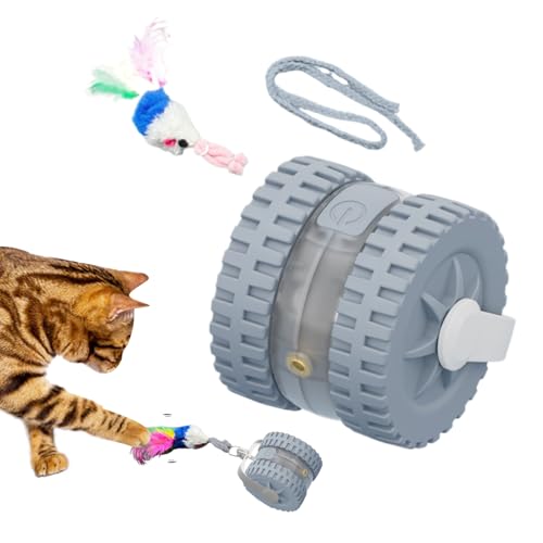 Interaktiver Ball für Katzen | Intelligenter Katzenball, Katzenspielzeug stimuliert die Intelligenz, reduziert Langeweile, fördert sensorisches Erwachen und Lernen Interaktiver Ball für Katzen | Intelligenter Katzenball, Katzenspielzeug stimuliert die Intelligenz, reduziert Langeweile, fördert sensorisches Erwachen und Lernen von Generic