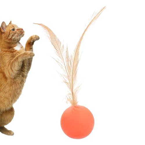 Interaktiver Katzenspielzeugball, Bälle für Katzen, Innenübungen Kätzchen Spielzeug, Interaktive sensorische Stimulationsfederkugel für Katze Play -Jagd -Training im Innenbereich Langeweile Erleichter Interaktiver Katzenspielzeugball, Bälle für Katzen, Innenübungen Kätzchen Spielzeug, Interaktive sensorische Stimulationsfederkugel für Katze Play -Jagd -Training im Innenbereich Langeweile Erleichter von Generic