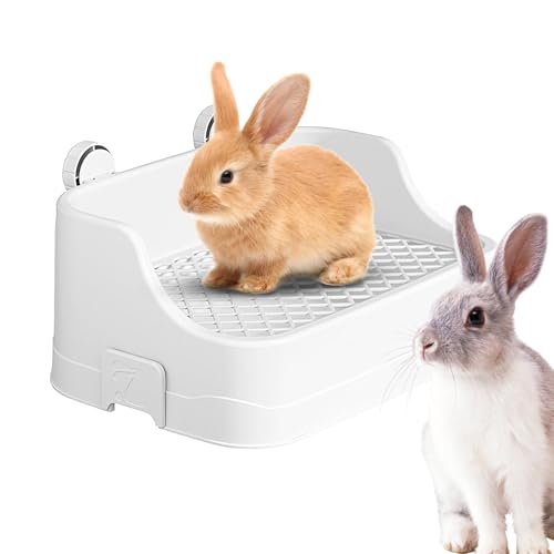 Kaninchentoilette - Induktion, Anforderung von Kaninchen Mehrzweckkaninchen | Guinea Schwein, Kaninchen mit hängender Chinchilla-Toilette, Kleintiertoilette Kaninchentoilette - Induktion, Anforderung von Kaninchen Mehrzweckkaninchen | Guinea Schwein, Kaninchen mit hängender Chinchilla-Toilette, Kleintiertoilette von Generic