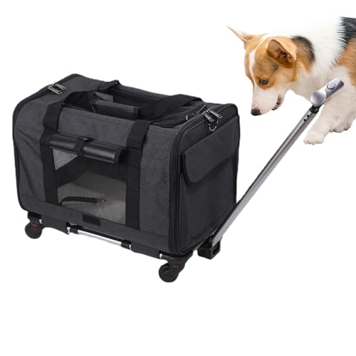 Katzen-Reisetransportbox – tragbare Hundetasche, Hunde-Reise-Organizer | kleine Hundetransportbox mit abnehmbaren Rädern, von Fluggesellschaften zugelassene Haustiertransportbox mit Sicherheitsreißver von Generic