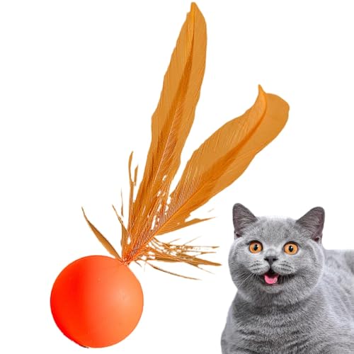 Katzenbälle Spielzeug für Hauskatzen - Kätzchenballspielzeug, Interaktiver Katzenspielzeugball | Mittlerer Katzenbeißball mit Federn, interaktiver Haustier-Bounce-Ball, fest, elastisch, für Welpen Katzenbälle Spielzeug für Hauskatzen - Kätzchenballspielzeug, Interaktiver Katzenspielzeugball | Mittlerer Katzenbeißball mit Federn, interaktiver Haustier-Bounce-Ball, fest, elastisch, für Welpen von Generic