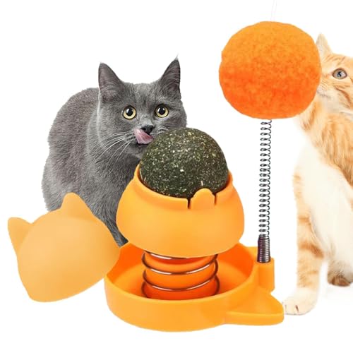 Katzenbälle für Katzen - Essbare Katzenblasen und Katzenbälle, Katzenleckereien | Katzenspielzeug lecken zur Zahnreinigung, lustige Wand-Snacks für von Generic