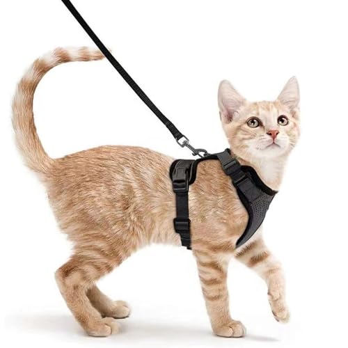 Katzengeschirr mit Leine Schwarz Softgeschirr für Katze Brustgeschirr Cat Harness Katzengarnitur ausbruchsicher verstellbar Katzenweste Schwarz XS von Generic