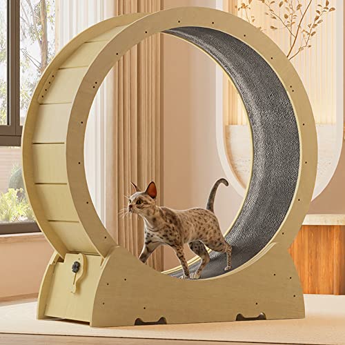 Katzenlaufrad, Katzenlaufrad, Katzenübungsrad, Indoor-Laufband mit Teppichboden für Katzen, Sicherheitsverriegelung, für alle Katzen und kleine Hunde,XL von Generic