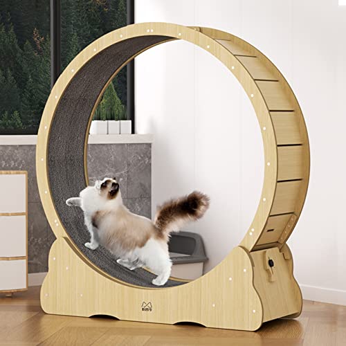 Katzenlaufrad, Robustes Katzenlaufband, natürliches Katzenlaufrad für Katzenübungen, Spinnrad für kleine/mittlere/große Katzen, 3 (Größe: 110 cm/43,3 Zoll) von Generic