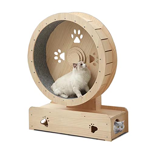 Katzenlaufrad, haustierfreundliches Katzen-Laufrad aus massivem Holz, Riesenrad für Hauskatzen, Katzenlaufband mit Tunnel in der Basis, Hamsterrad auf Katzenturm von Generic