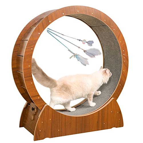 Katzenlaufrad Katzenlaufrad Braunes Katzenübungsrad, Indoor-Katzenlaufradlaufband mit 3 Katzenspielstäben, Riesenradspielzeug für kleine/mittlere/große Katzen (Größe: 100 cm/39,4 Zoll) von Generic