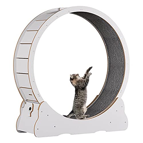 Katzenlaufrad Weißes Katzenlaufband für Hauskatzen, kleines, mittleres und großes Katzenübungsrad, für Katzen Aller Größen, einfach zu montieren (Größe: Innendurchmesser - 90 cm (35,4 Zoll)) von Generic