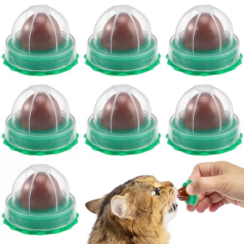 katzenminze Wand Ball, 10 Stück Wand-Katzenminze-Kugeln Essbar Gesund Katzenlecken Lutscher Kauspielzeug – Vitamin-Katzenminze-Pudding Katzen-Snack Wand-Leckereien Für Katzen von generic