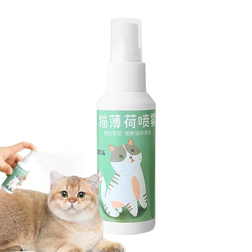 Katzenminze-Spray für Katzen, Katzenminze-Spray, Kräuter-Katzenminze-Spray, hochwirksame Katzenminze 50 ml, sichere, Nicht süchtig machende Katzenminze, für Katzen und Katzenliebhaber zugelassene von Generic